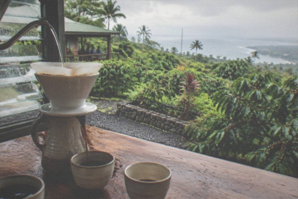 A pour-over tasting setup with several small cups on a wooden farm counter
