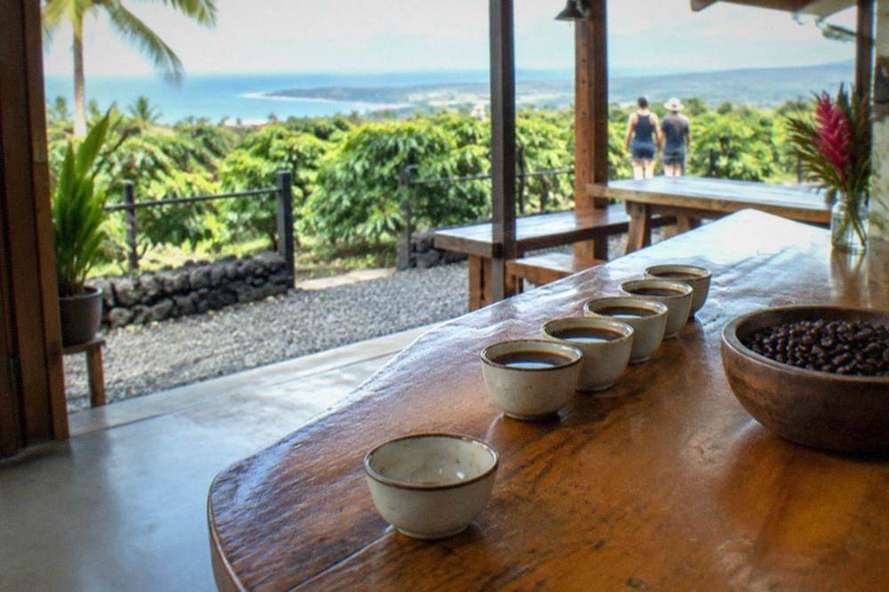 A flight of small tasting cups lined up on a wooden counter beside a bowl of roasted Kona beans