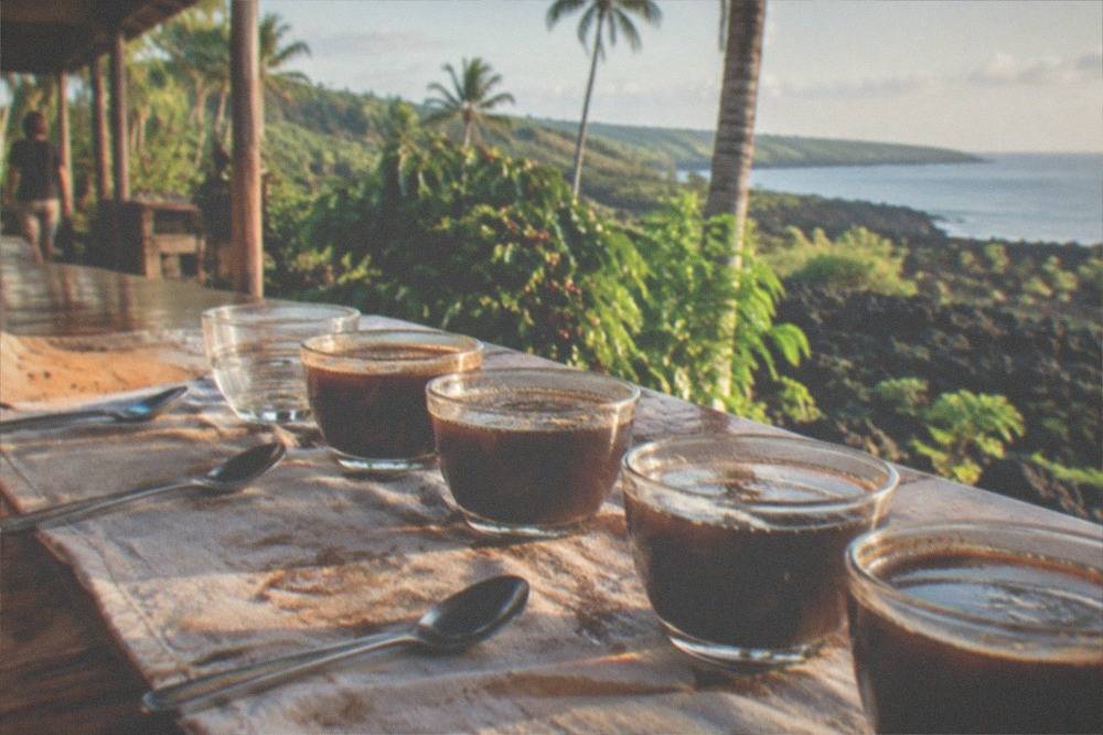 A cupping table with small bowls of brewed coffee and spoons arranged for tasting