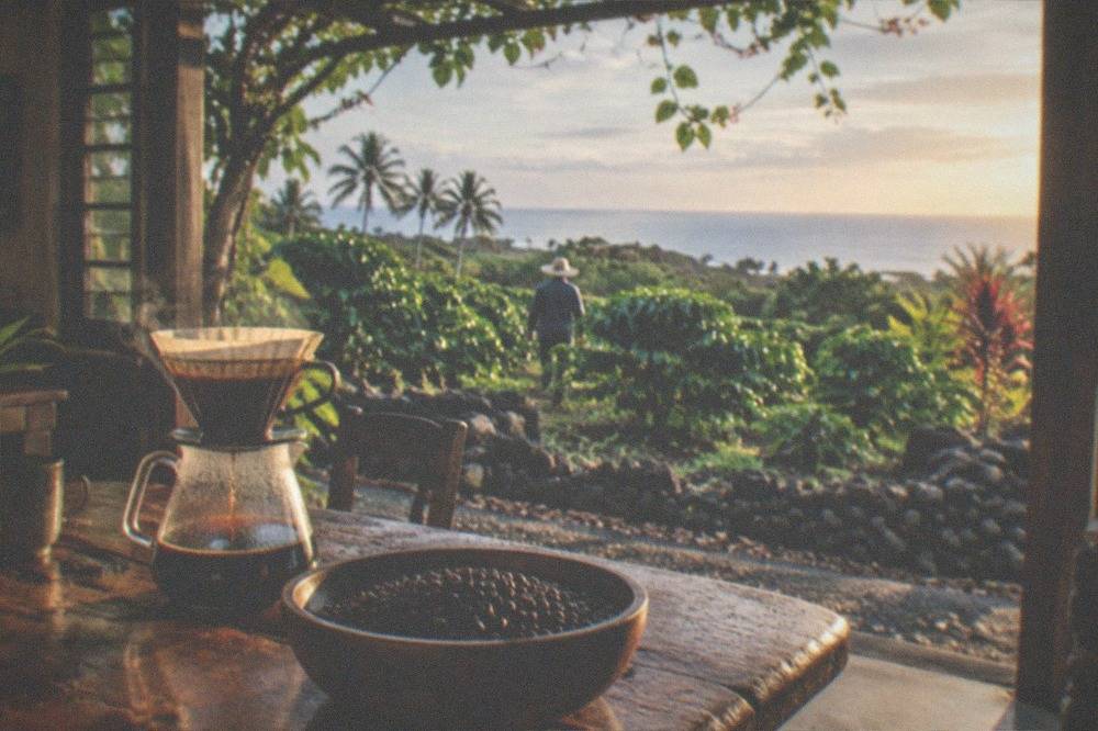 A pour-over brewing setup beside a bowl of dark roasted coffee beans on a wooden table.