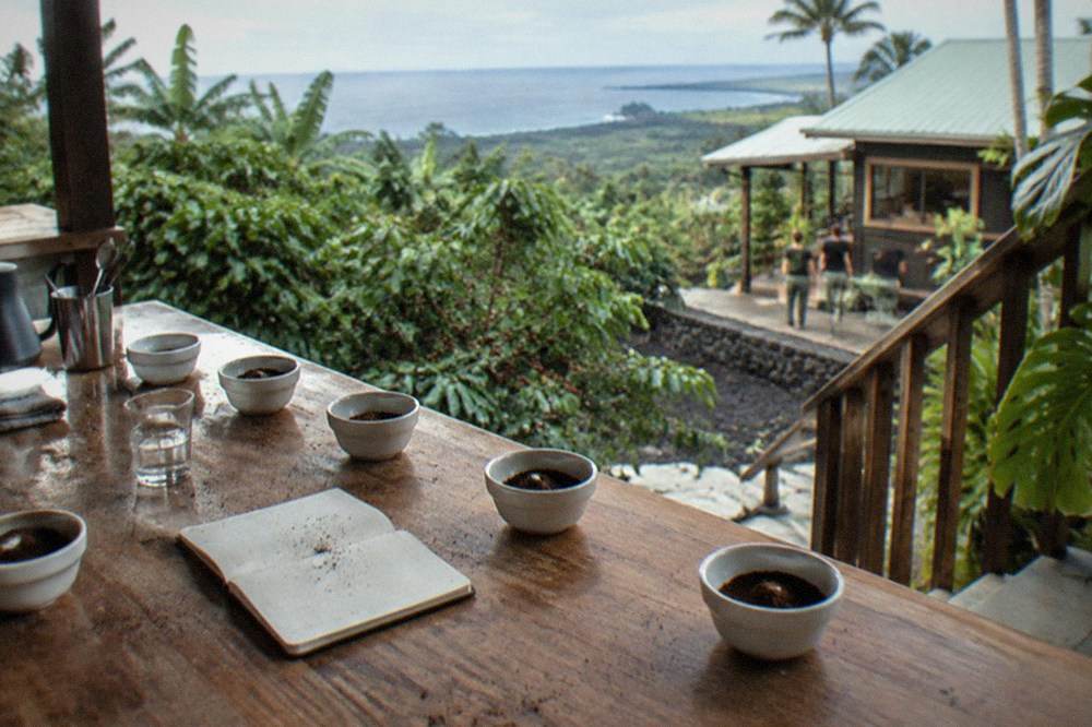 A cupping table with several small tasting bowls of ground coffee