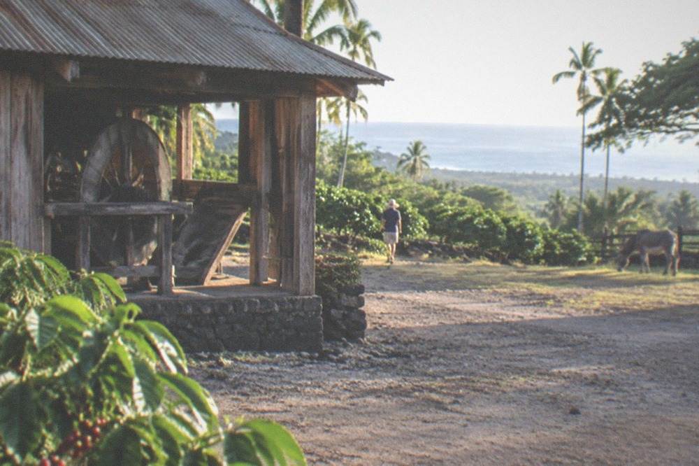 A historic wooden coffee mill building at a Kona heritage farm