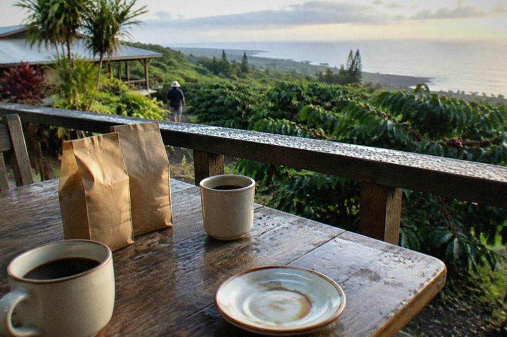 A tasting table with cups of coffee and bags of beans on a wooden farm porch