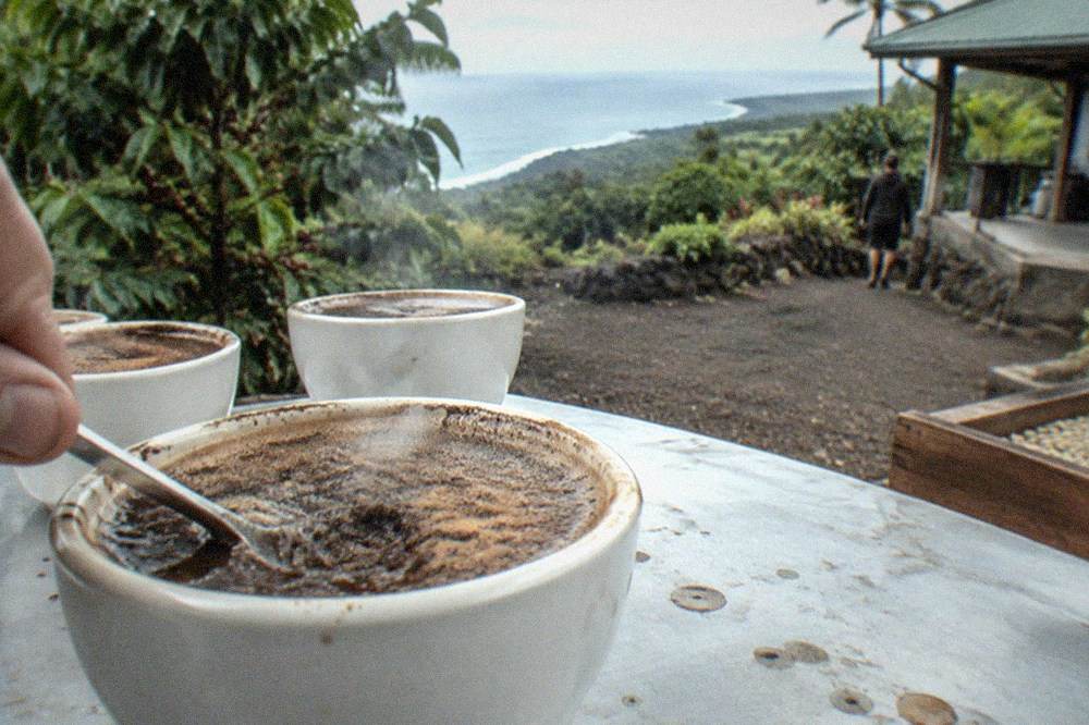 A spoon breaking the crust of coffee grounds in a cupping bowl on a tasting table
