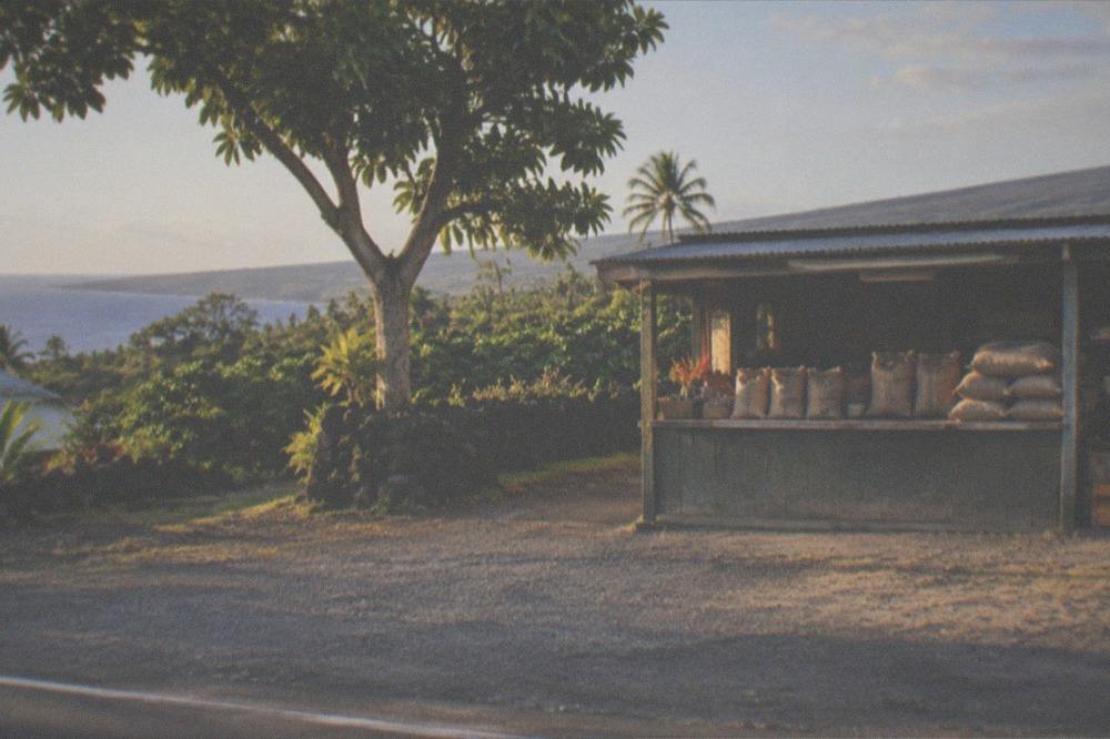 A farm stand beside the highway with bags of coffee beans stacked on a wooden counter